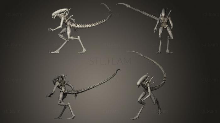 3D model Alien Xenomorph (STL)